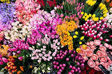 动作冒险《Jett：遥远彼岸》新实机预告和截图